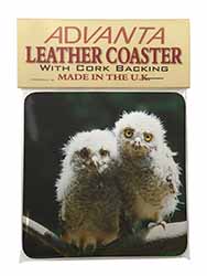 Baby Owl Chicks Single Leather Photo Coaster