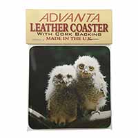 Baby Owl Chicks Single Leather Photo Coaster