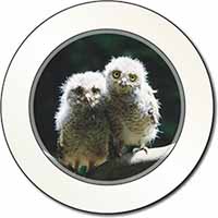 Baby Owl Chicks Car or Van Permit Holder/Tax Disc Holder
