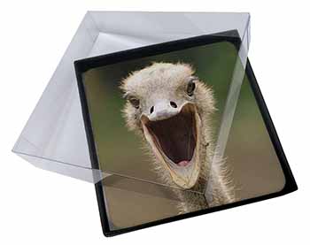 4x Ostritch Photo Print Picture Table Coasters Set in Gift Box