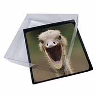 4x Ostritch Photo Print Picture Table Coasters Set in Gift Box