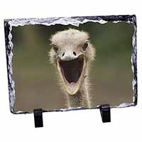 Ostritch Photo Print, Stunning Photo Slate