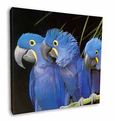 Hyacinth Macaw Parrots Square Canvas 12"x12" Wall Art Picture Print