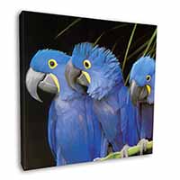 Hyacinth Macaw Parrots Square Canvas 12"x12" Wall Art Picture Print
