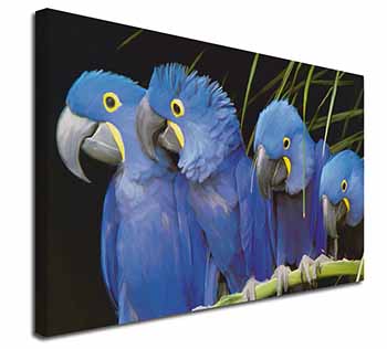 Hyacinth Macaw Parrots Canvas X-Large 30"x20" Wall Art Print