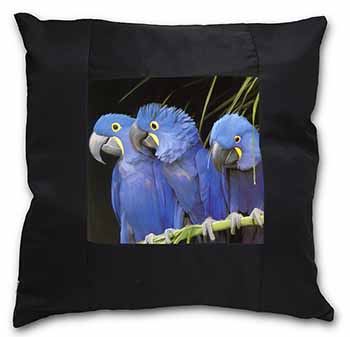 Hyacinth Macaw Parrots Black Satin Feel Scatter Cushion