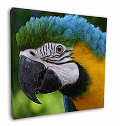Blue+Gold Macaw Parrot Square Canvas 12"x12" Wall Art Picture Print