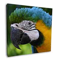 Blue+Gold Macaw Parrot Square Canvas 12"x12" Wall Art Picture Print