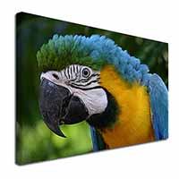 Blue+Gold Macaw Parrot Canvas X-Large 30"x20" Wall Art Print