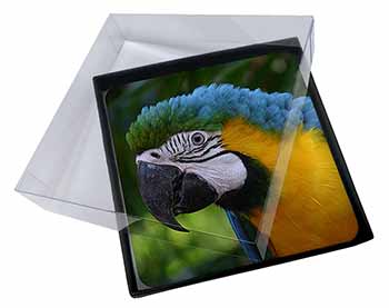4x Blue+Gold Macaw Parrot Picture Table Coasters Set in Gift Box