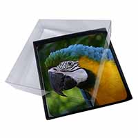 4x Blue+Gold Macaw Parrot Picture Table Coasters Set in Gift Box