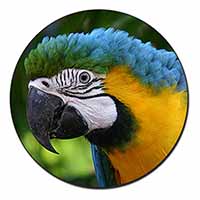 Blue+Gold Macaw Parrot Fridge Magnet Printed Full Colour