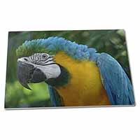 Large Glass Cutting Chopping Board Blue+Gold Macaw Parrot