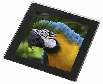 Blue+Gold Macaw Parrot Black Rim High Quality Glass Coaster