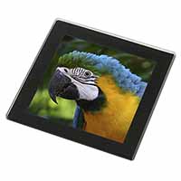 Blue+Gold Macaw Parrot Black Rim High Quality Glass Coaster