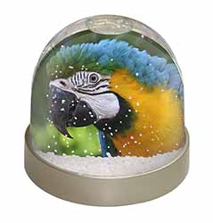 Blue+Gold Macaw Parrot Snow Globe Photo Waterball