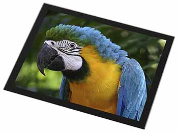 Blue+Gold Macaw Parrot Black Rim High Quality Glass Placemat