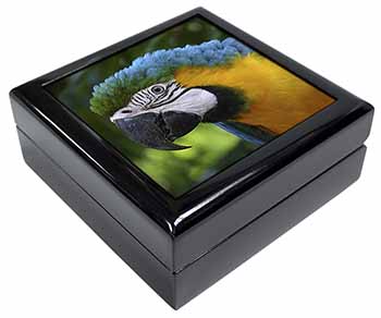 Blue+Gold Macaw Parrot Keepsake/Jewellery Box