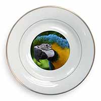 Blue+Gold Macaw Parrot Gold Rim Plate Printed Full Colour in Gift Box