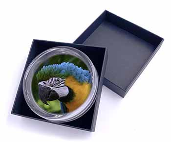 Blue+Gold Macaw Parrot Glass Paperweight in Gift Box