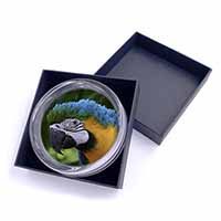 Blue+Gold Macaw Parrot Glass Paperweight in Gift Box