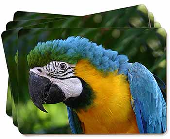 Blue+Gold Macaw Parrot Picture Placemats in Gift Box