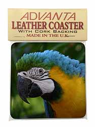 Blue+Gold Macaw Parrot Single Leather Photo Coaster