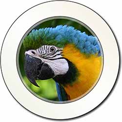 Blue+Gold Macaw Parrot Car or Van Permit Holder/Tax Disc Holder