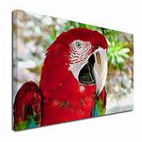 Green Winged Red Macaw Parrot Canvas X-Large 30"x20" Wall Art Print