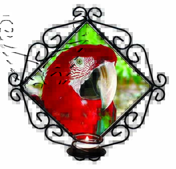 Green Winged Red Macaw Parrot Wrought Iron Wall Art Candle Holder