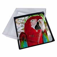 4x Green Winged Red Macaw Parrot Picture Table Coasters Set in Gift Box