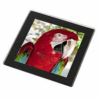 Green Winged Red Macaw Parrot Black Rim High Quality Glass Coaster