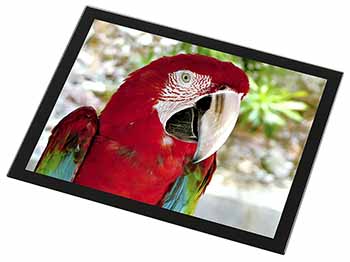 Green Winged Red Macaw Parrot Black Rim High Quality Glass Placemat