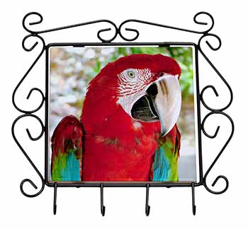 Green Winged Red Macaw Parrot Wrought Iron Key Holder Hooks