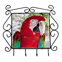 Green Winged Red Macaw Parrot Wrought Iron Key Holder Hooks