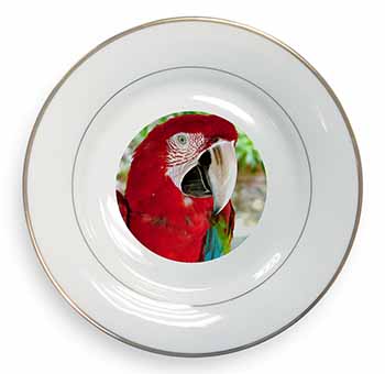 Green Winged Red Macaw Parrot Gold Rim Plate Printed Full Colour in Gift Box