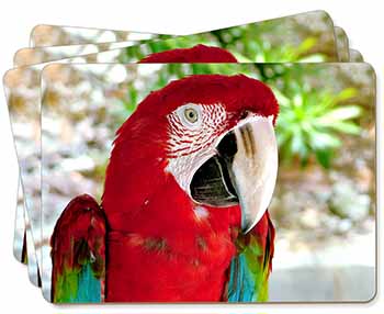 Green Winged Red Macaw Parrot Picture Placemats in Gift Box