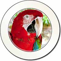 Green Winged Red Macaw Parrot Car or Van Permit Holder/Tax Disc Holder