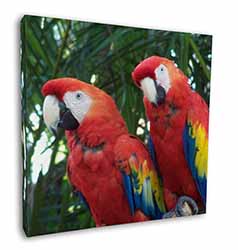 Macaw Parrots in Palm Tree Square Canvas 12"x12" Wall Art Picture Print