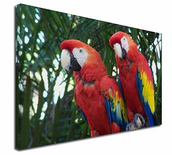 Macaw Parrots in Palm Tree Canvas X-Large 30"x20" Wall Art Print