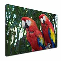 Macaw Parrots in Palm Tree Canvas X-Large 30"x20" Wall Art Print
