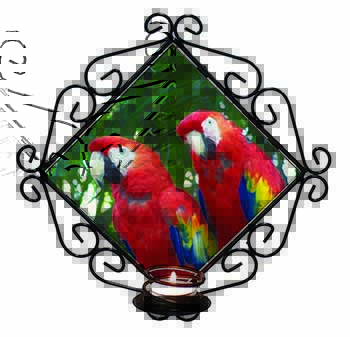 Macaw Parrots in Palm Tree Wrought Iron Wall Art Candle Holder