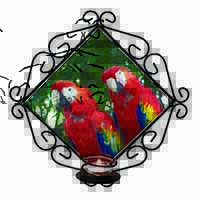 Macaw Parrots in Palm Tree Wrought Iron Wall Art Candle Holder
