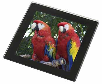 Macaw Parrots in Palm Tree Black Rim High Quality Glass Coaster