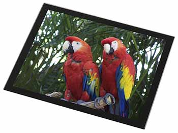 Macaw Parrots in Palm Tree Black Rim High Quality Glass Placemat