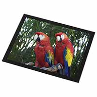 Macaw Parrots in Palm Tree Black Rim High Quality Glass Placemat
