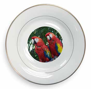 Macaw Parrots in Palm Tree Gold Rim Plate Printed Full Colour in Gift Box