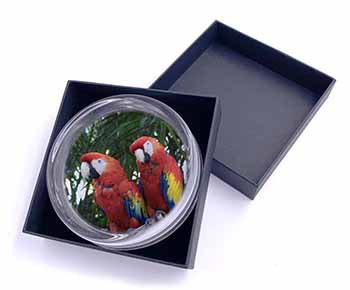 Macaw Parrots in Palm Tree Glass Paperweight in Gift Box