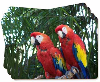 Macaw Parrots in Palm Tree Picture Placemats in Gift Box