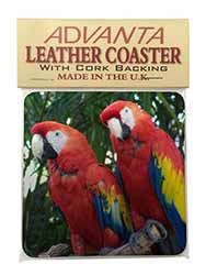 Macaw Parrots in Palm Tree Single Leather Photo Coaster